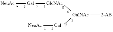 Disialylated Core 2 O-glycan (C2S(3,3)2), 2-AB labelled
